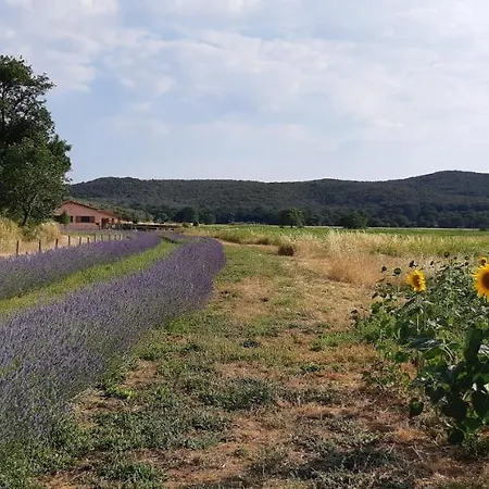 Bio Le Giunchiglie Alberese