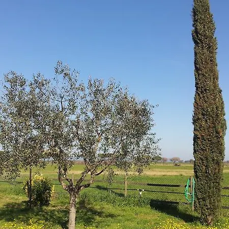 Bio Le Giunchiglie *