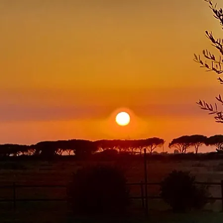 Bio Le Giunchiglie Farm stay Alberese