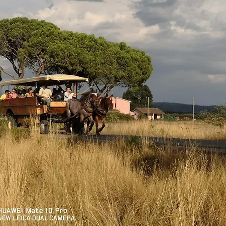 Bio Le Giunchiglie Farm stay Alberese