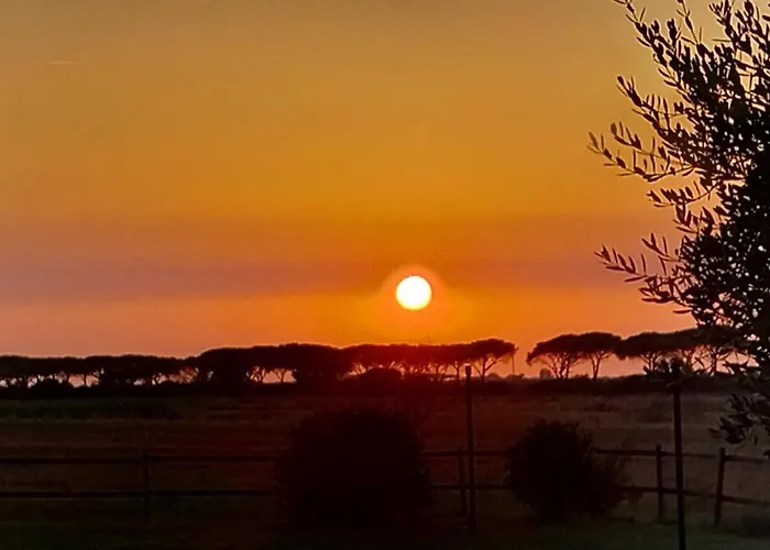 Bio Le Giunchiglie Vakantieboerderij Alberese