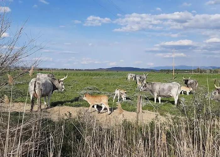 Bio Le Giunchiglie Vakantieboerderij Alberese